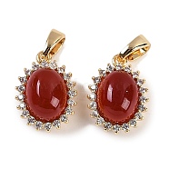 Natural Carnelian(Dyed & Heated) Oval Charms, Brass Micro Pave Clear Cubic Zirconia Charms, Real 18K Gold Plated, 14.5x10.5x7.5mm, Hole: 5x3mm(KK-P283-40G)