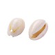 Fashewelry Natural Cowrie Shell Beads(BSHE-TA0001-01)-3
