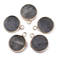 Natural Labradorite Pendants, with Light Gold Plated Brass Edge, Flat Round, 20x16.5x3~4mm, Hole: 2.5mm(G-N326-29A)