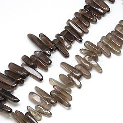 Natural Smoky Quartz Beads Strands, Nuggets, 15~40x3~10x4~8mm, Hole: 1.5mm, about 60~65pcs/strand, 15.7 inch(G-R835-10)