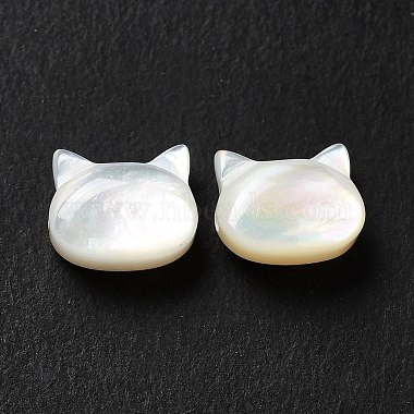 Natural White Shell Beads(SHEL-G014-10B-02)-3