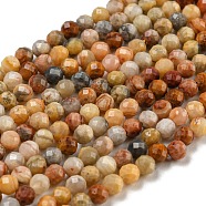 Natural Crazy Lace Agate Beads Strands, Faceted Round, 3mm, Hole: 0.8mm, about 136pcs/strand, 16 inch(X-G-A129-3mm-17)