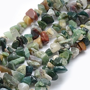Natural Indian Agate Beads Strands, Chip, 5~8mm, Hole: 1mm, about 33 inch(84cm)(G-P332-13)