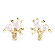 Natural Pearl Beaded Tree of Life Stud Earrings with 925 Sterling Silver Pins, Brass Jewelry for Women, Real 14K Gold Plated, 16x14.5x6mm, Pin: 0.8mm(EJEW-T019-04G)
