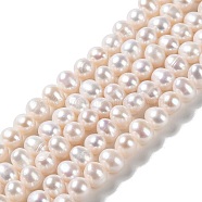 Natural Cultured Freshwater Pearl Beads Strands, Potato, Grade 3A++, PapayaWhip, 8.5~9.5x7~8mm, Hole: 0.6mm, about 47pcs/strand, 13.98''(35.5cm)(PEAR-E018-16)