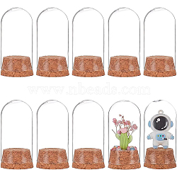 10 set Glass Dome Cover, Decorative Display Case, Cloche Bell Jar Terrarium with Cork Base, Arch, Clear, 37x78mm(AJEW-BC0003-54A)