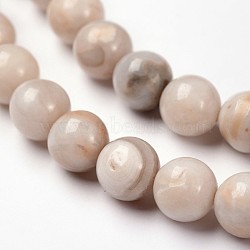 Round Natural Crazy Lace Agate Beaded Strands, 8mm, Hole: 1mm, about 47pcs/strand, 15.7 inch(G-L374-01-8mm)