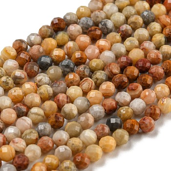 Natural Crazy Lace Agate Beads Strands, Faceted Round, 3mm, Hole: 0.8mm, about 136pcs/strand, 16 inch