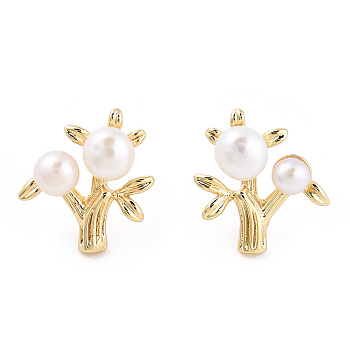 Natural Pearl Beaded Tree of Life Stud Earrings with 925 Sterling Silver Pins, Brass Jewelry for Women, Real 14K Gold Plated, 16x14.5x6mm, Pin: 0.8mm