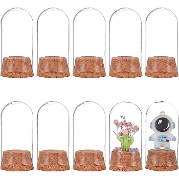 10 set Glass Dome Cover, Decorative Display Case, Cloche Bell Jar Terrarium with Cork Base, Arch, Clear, 37x78mm
