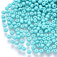 12/0 Baking Paint Glass Round Seed Beads(SEED-S036-01A-13)-1