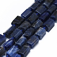 Natural Sodalite Beads Strands, Cuboid, 11~13x6~8x6~8mm, Hole: 0.7mm, about 28~31pcs/strand, 15.94''~16.93''(40.5~43cm)(G-O170-101)