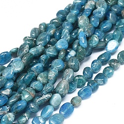 Natural Apatite Beads Strands, Chip, 6~10x5~7x3~4.5mm, hole: 0.7mm, about 55pcs/Strand, 15.94 inch(40.5cm) (X-G-D0004-A02-01)