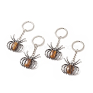 Spider Natural Tiger Eye Pendant Keychain, with Brass Findings, 7.8~7.9cm(KEYC-C015-01K)