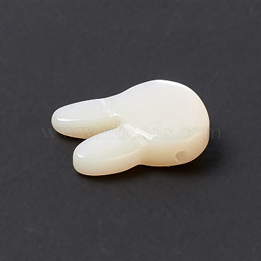 Natural White Shelll Beads(BSHE-C003-01C)-4