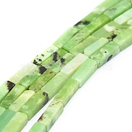 Natural Serpentine Beads Strands, Cuboid, 13x4.5x4.5mm, Hole: 1.2mm, about 30pcs/strand, 15.75''(40cm)(G-G974-05)