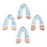 Transparent Resin & White Wood Pendants, Arch Shape Charms with Paillettes, Light Sky Blue, 38x37~29x3.5mm, Hole: 2mm(RESI-N039-53)