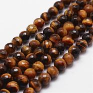 Natural Tiger Eye Beads Strands, Grade A, Faceted, Round, 6mm, Hole: 1mm, about 61pcs/strand, 14.9 inch~15.1 inch(G-D840-39-6mm)