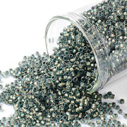 TOHO Round Seed Beads, Japanese Seed Beads, (995FM) Bronze Lined Aqua Matte, 15/0, 1.5mm, Hole: 0.7mm, about 3000pcs/bottle, 10g/bottle(SEED-JPTR15-0995FM)