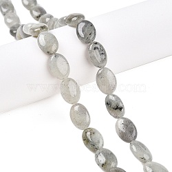 Natural Labradorite Beads Strands, Flat Oval, 14x10x5.5mm, Hole: 1.2mm, about 28pcs/strand, 15.55''(39.5cm)(G-M206-42)