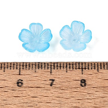 Transparent Plastic Bead Caps(KY-Q005-02A-04)-4