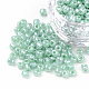 Glass Seed Beads(X1-SEED-A011-3mm-154)-1