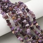 Natural Lepidolite/Purple Mica Stone Beads Strands, Chip, 1.5~6x6~11.5x4~7.5mm, Hole: 0.7mm, about 232~240pcs/strand, 30.71''~32.68''(78~83cm)(G-Z081-A01)