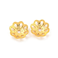 925 Sterling Silver Bead Caps, 8-Petal, Flower, Real 18K Gold Plated, 6x6x2mm, Hole: 1mm(STER-U002-04G)