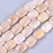 Natural Pink Aventurine Beads Strands, Rectangle, 17.5~18.5x13~13.5x6~7mm, Hole: 1mm, about 22pcs/strand, 15.5 inch(X-G-T121-15A)