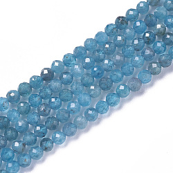 Natural Apatite Beads Strands, Faceted, Round, 3~3.5x2.5~3mm, Hole: 0.3mm, about 114~141pcs/strand, 15.1~16.4 inch(38.4~41.8cm)(G-F596-29-3mm)