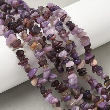 Natural Lepidolite/Purple Mica Stone Beads Strands, Chip, 1.5~6x6~11.5x4~7.5mm, Hole: 0.7mm, about 232~240pcs/strand, 30.71''~32.68''(78~83cm)