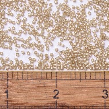 MIYUKI Delica Beads(SEED-J020-DB2177)-4