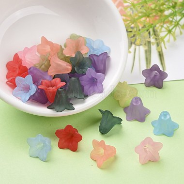Mixed Color Transparent Acrylic Frosted Flower Beads(X-PLF018)-3