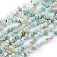 Natural Gemstone Bead Strand, Flower Amazonite Chip Beads, 5-8mm wide, Each strand measure about 32~32.5 inch long, hole: about 0.3mm(X-F031)