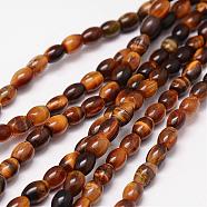 Natural Tiger Eye Beads Strands, Grade A, Rice, 6x4mm, Hole: 0.8mm, 64pcs/strand, 15.7 inch(G-N0179-13-4x6mm)