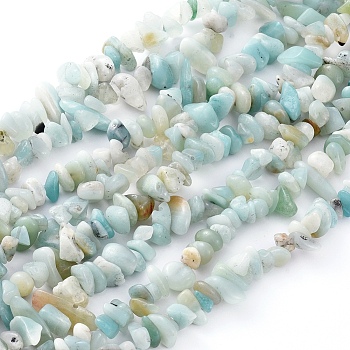 Natural Gemstone Bead Strand, Flower Amazonite Chip Beads, 5-8mm wide, Each strand measure about 32~32.5 inch long, hole: about 0.3mm