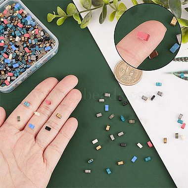 800Pcs 8 Colors 2-Hole Glass Seed Beads(SEED-CN0001-05)-2