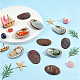 Natural Paua Shell Display Decorations(DJEW-WH0042-148A)-4