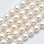 Natural Cultured Freshwater Pearl Beads Strands, Oval, Floral White, 6.5~7x5.5~6mm, Hole: 0.8mm, about 44pcs/strand, 14.17 inch(36cm)(PEAR-K003-23D-01)