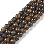 Natural Boulder Opal Beads Strands, Faceted, Round, 6mm, Hole: 0.8mm, about 71pcs/strand, 15.67''(39.8cm)(G-K364-C01-01)