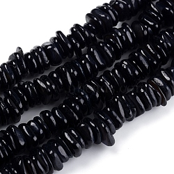 Natural Freshwater Shell Beads Strands, Shell Shards, Dyed, Chip, Black, 6~10x5~7x1.5~2.5mm, Hole: 1.2mm, about 190pcs/strand, 15.75 inch(40cm)(X-SHEL-D078-01A)