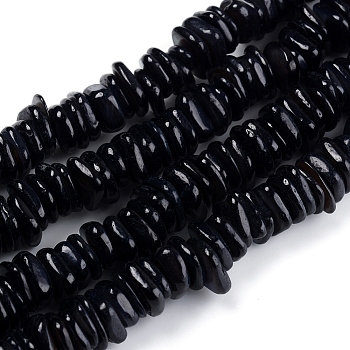 Natural Freshwater Shell Beads Strands, Shell Shards, Dyed, Chip, Black, 6~10x5~7x1.5~2.5mm, Hole: 1.2mm, about 190pcs/strand, 15.75 inch(40cm)