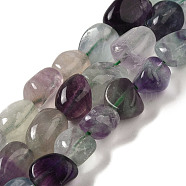 Natural Fluorite Beads Strands, Nuggets, Tumbled Stone, 7~15x6~10x5.5~8mm, Hole: 1mm, about 47~49pcs/strand, 15.55~15.94 inch(39.5~40.5cm)(G-B078-D26-01)