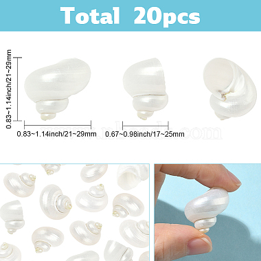 20個の天然スパイラルシェルビーズ(SSHEL-SC0001-56)-2