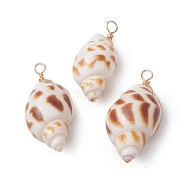 Natural Spiral Shell Pendants, Shell Shape Charms with Light Gold Copper Loops, Sienna, 31~36x14~18x13~16mm, Hole: 3mm(PALLOY-JF02949)