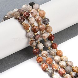 Natural Fossil Coral Beads Strands, Faceted, Bicone, Double Terminated Point Prism Beads, 8x7mm, Hole: 1.2mm, about 40pcs/strand, 15.16''(38.5cm)(G-O201B-113F)