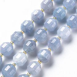 Natural Dolomite Beads Strands, Dyed, Faceted, with Seed Beads, Double Terminated Point Prism Beads, Bicone, Light Blue, 11~12x10~11.5mm, Hole: 1.5mm, about 27~28pcs/strand, 14.57 inch~15.16 inch(37cm~38.5cm)(G-T131-126A)