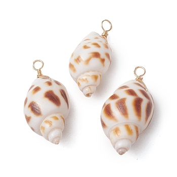 Natural Spiral Shell Pendants, Shell Shape Charms with Light Gold Copper Loops, Sienna, 31~36x14~18x13~16mm, Hole: 3mm