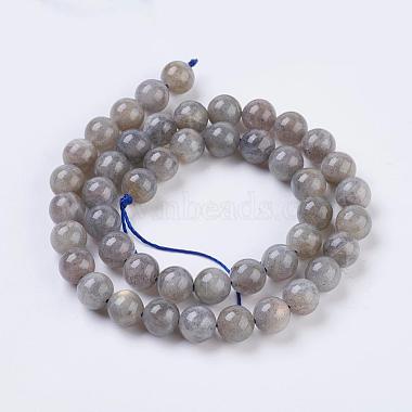 Natural Labradorite Beads Strands(G-G212-8mm-23)-2