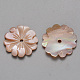 Perles naturelles de coquillage rose(SSHEL-R044-01)-2